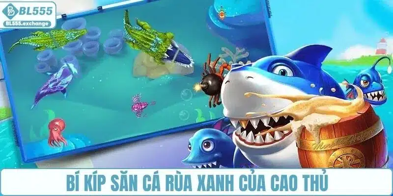 Bí kíp săn cá rùa xanh của cao thủ