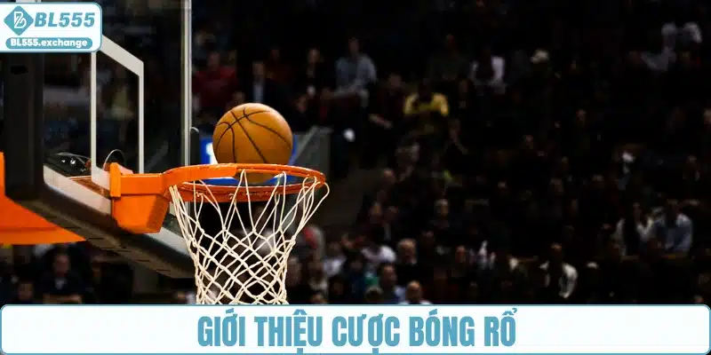 Giới thiệu cược bóng rổ