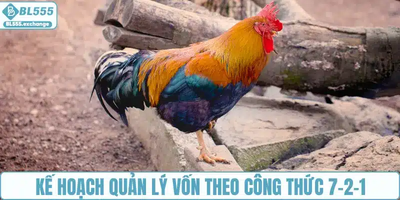 Kế hoạch quản lý vốn theo công thức 7-2-1