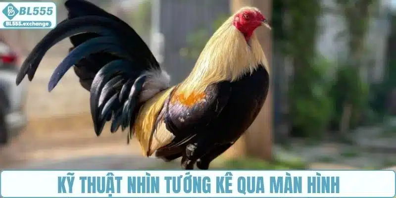 Kỹ thuật nhìn tướng kê qua màn hình