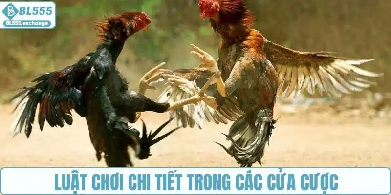 Luật chơi chi tiết trong các cửa cược