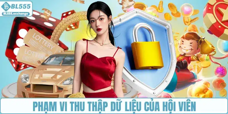 Phạm vi thu thập dữ liệu của hội viên