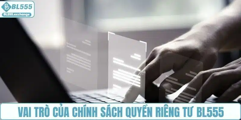 Vai trò thiết yếu của chính sách quyền riêng tư BL555